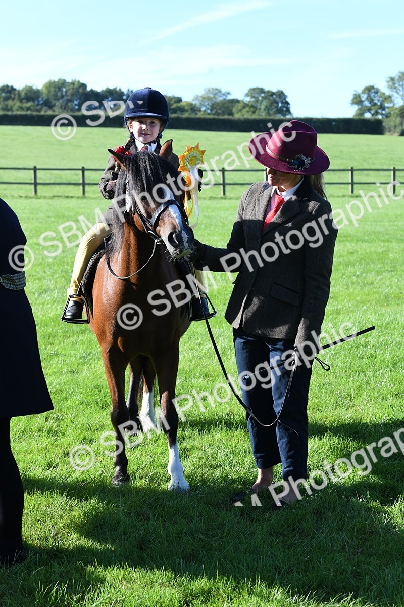 SBM_35490 - S17 - Condition & Turnout - Lead Rein