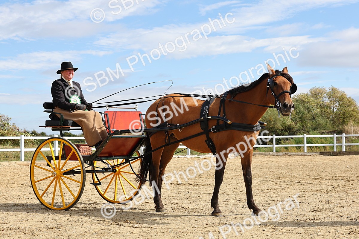 SBM_000954 - Class 8 - Novice Horse or Pony to any vehicle