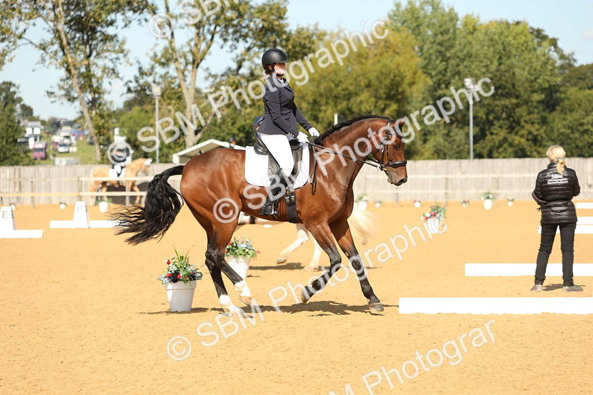 SBM_22272 - D17 - Grand Tour Championship - Novice 27