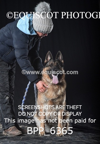 BPP_6365 - CARLA DOGS