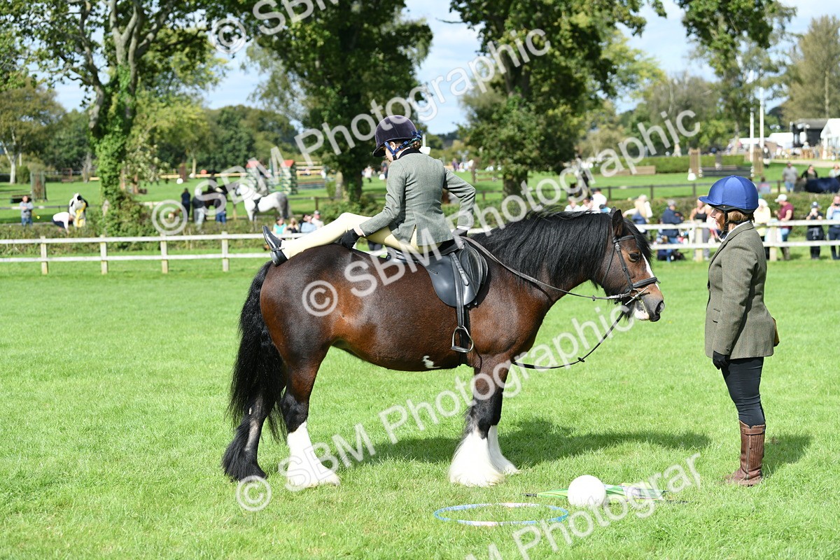 SBM_46913 - S12 - Family Horse & Pony
