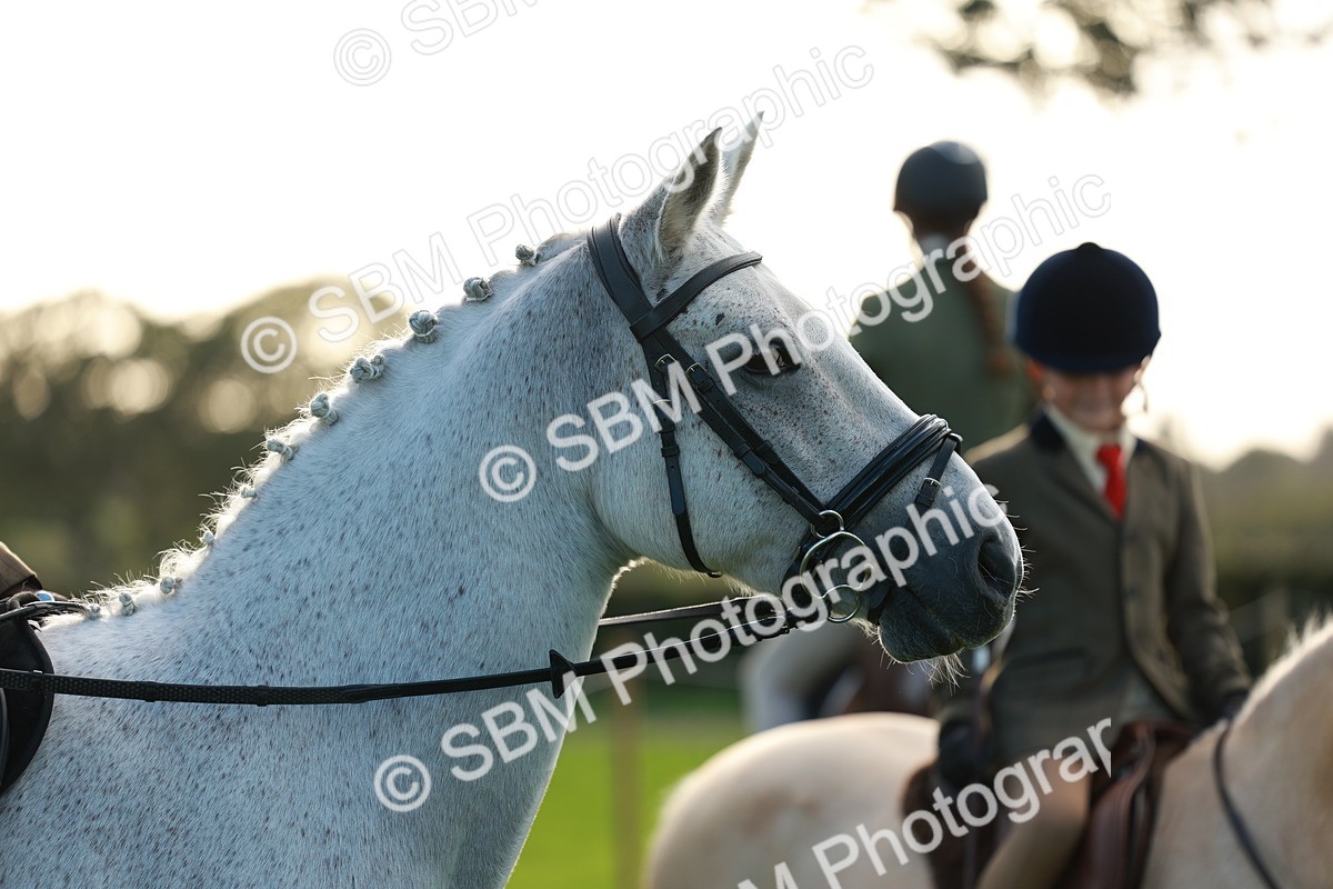SBM_28812 - S7 - Novice & Newcomer Ridden Pony