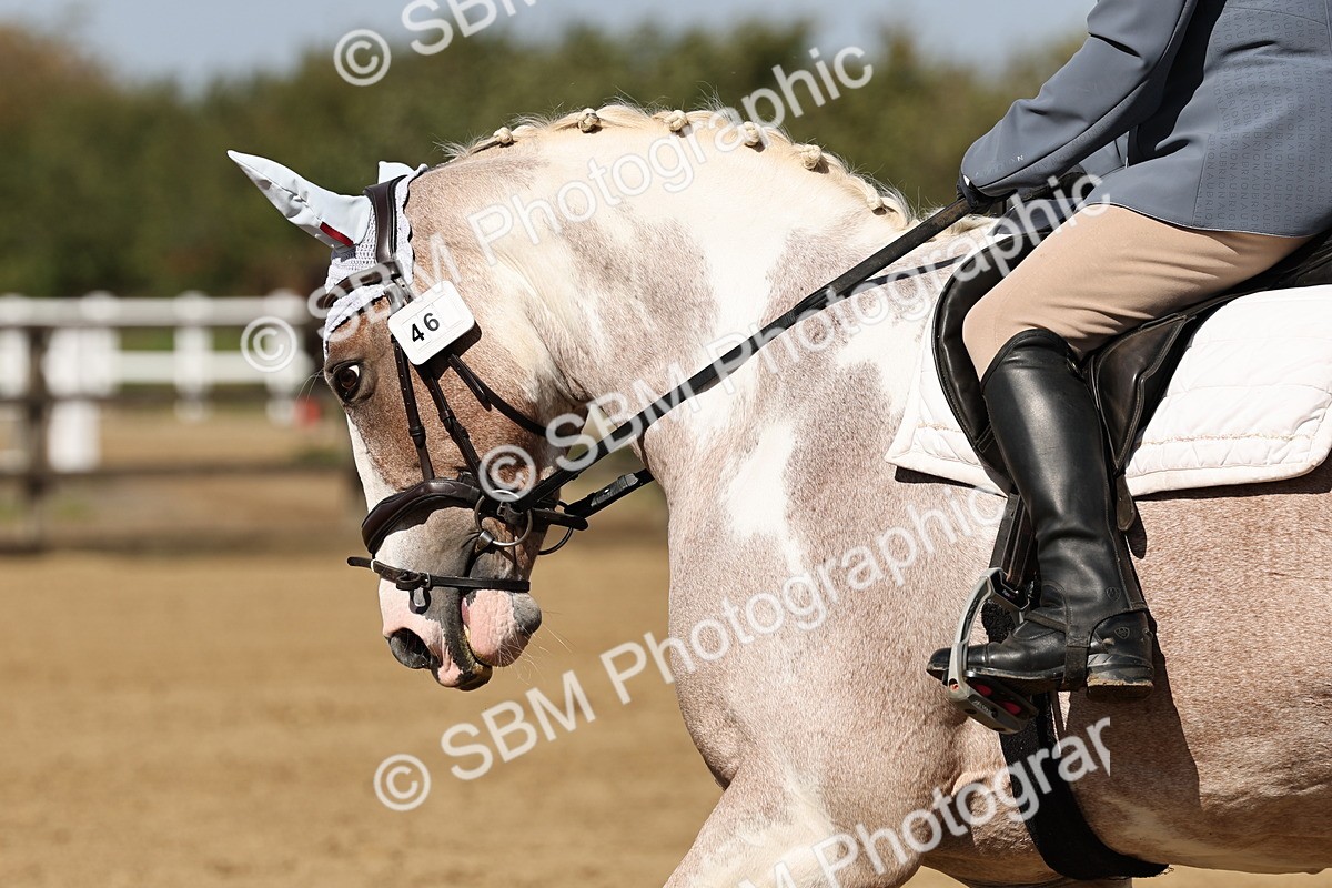 SBM_001016 - Class 46 - Novice 1 Combined Training