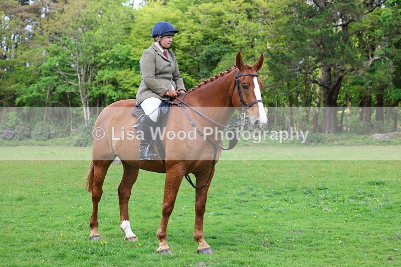 3E7A2605 - Classes 30 and 31: 80cm Working Hunter