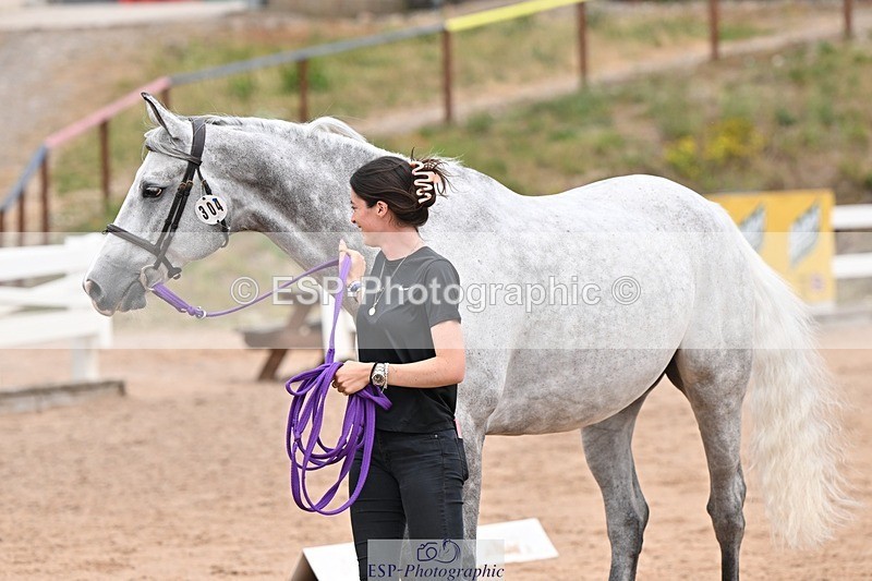250716-143514-01230 - Trot Up 2.30 to 3.30