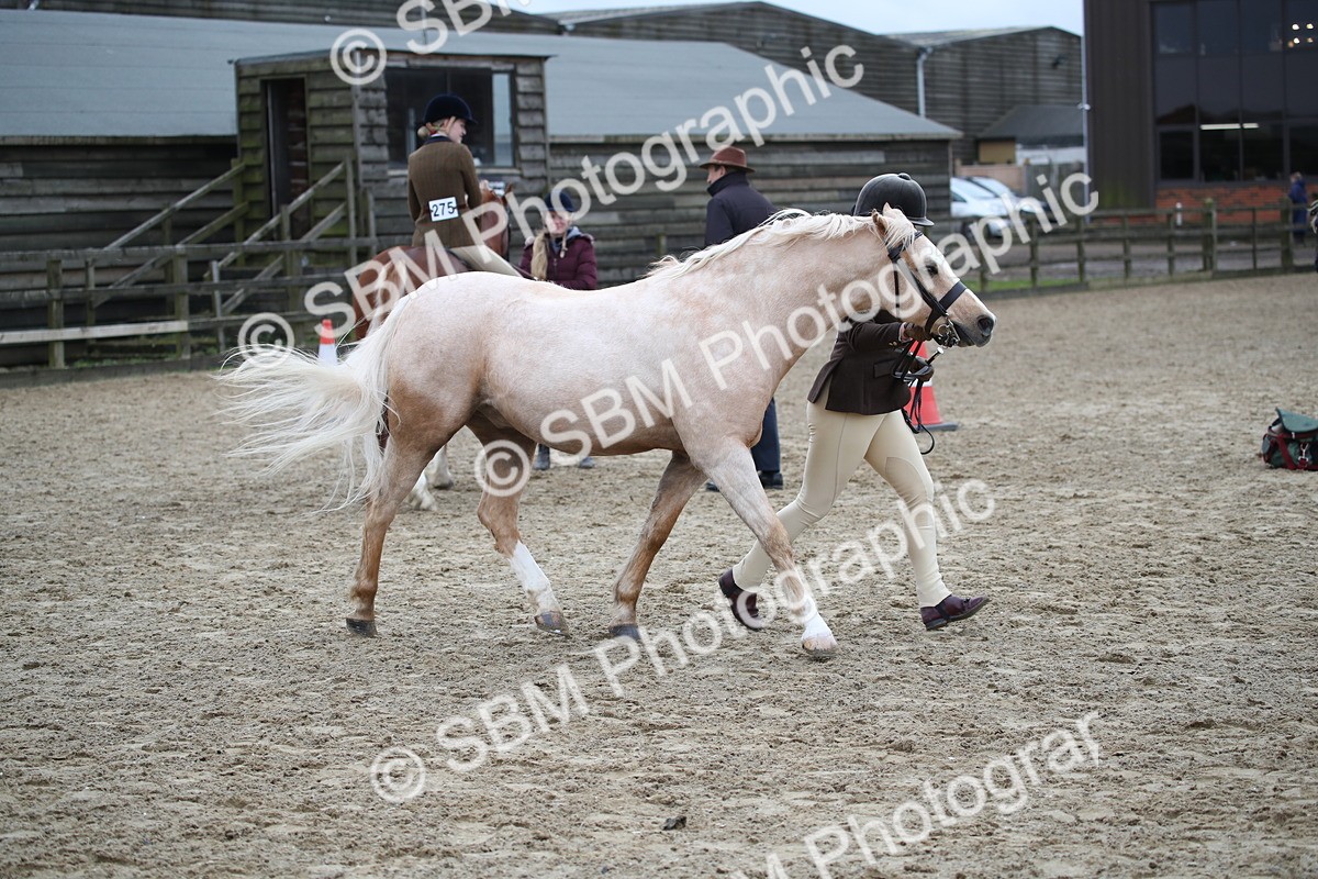 SBM_006415 - Class 10-13 - RIHS Small Large Breeds