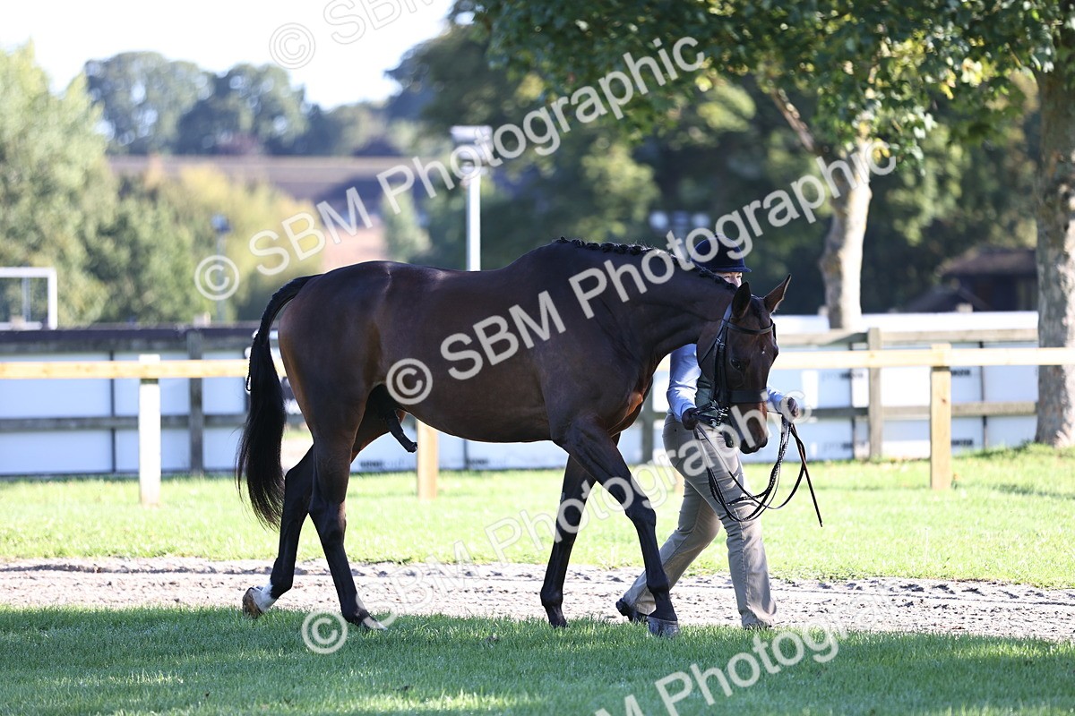 SBM_15685 - S1 - TSR in Hand Horse & Pony Showing