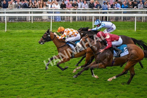 130724-Race 7-Ray Vonn-7924 - Race 7 5.25pm John Smith's Sprint Handicap