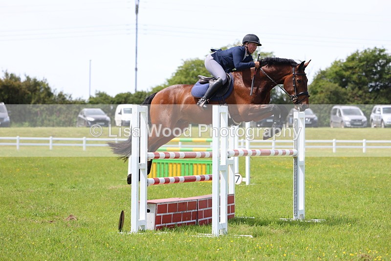 3E7A1372 - Class 12: Senior Foxhunter/1.20 open