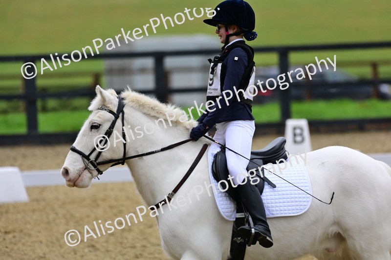 20260125-0576 - Class 9b - Walk Trot Unassisted