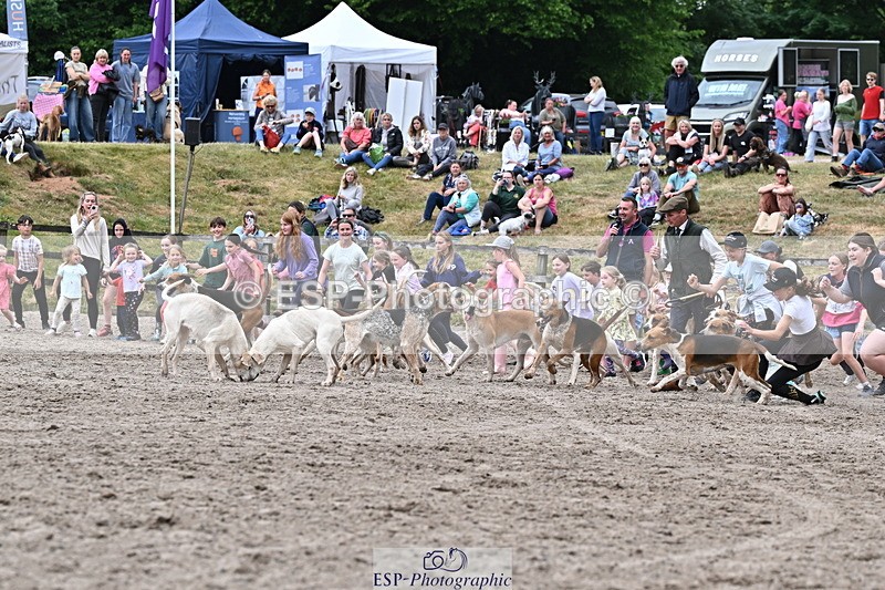 250524A-152732-12745 - East Devon Hounds