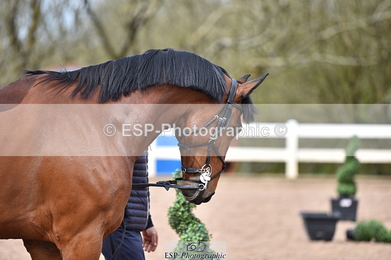 240417A-150324-00717 - 3pm to 4pm