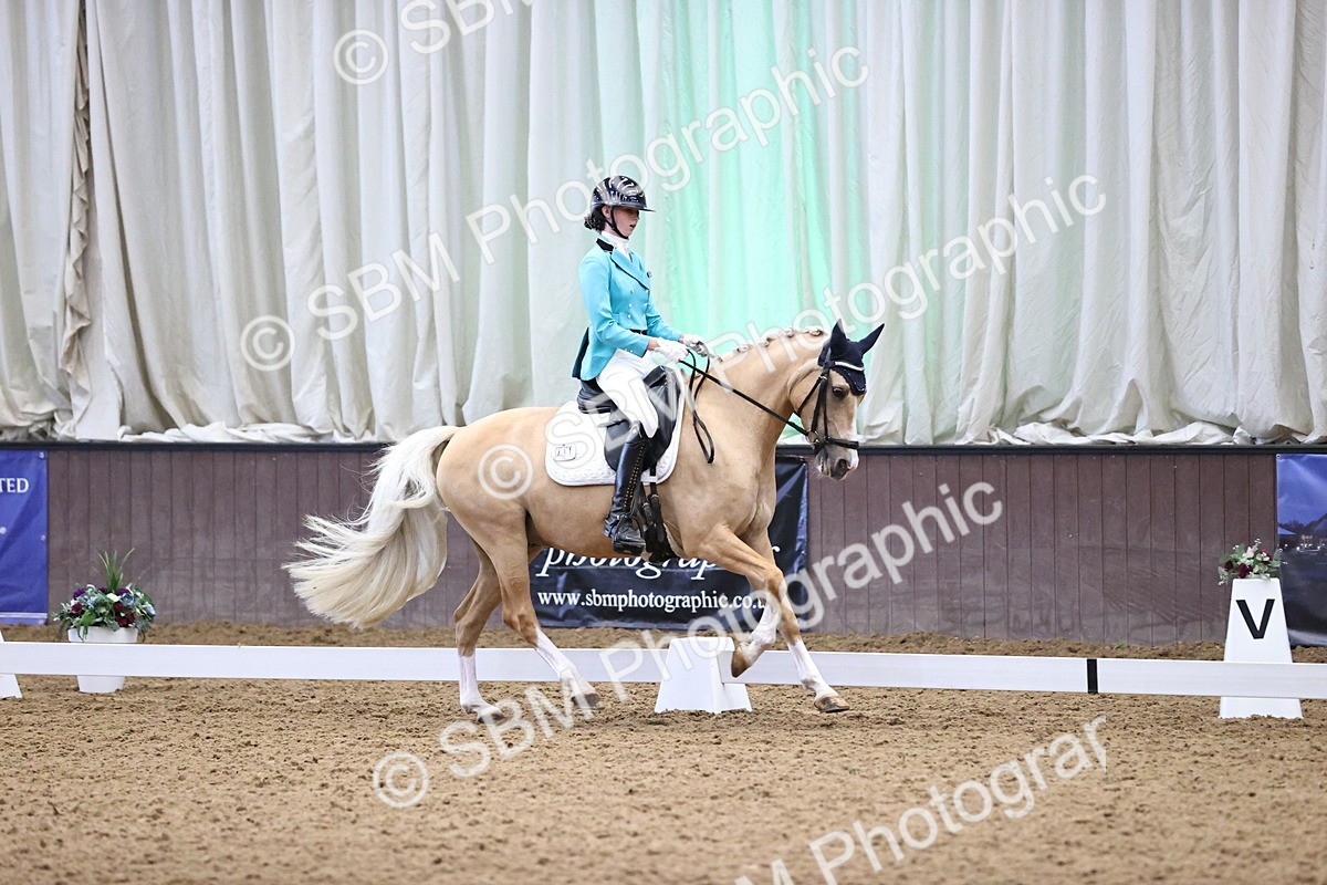 SBM_008310 - Class 15 - FEI Junior Pony Team-YR-COH