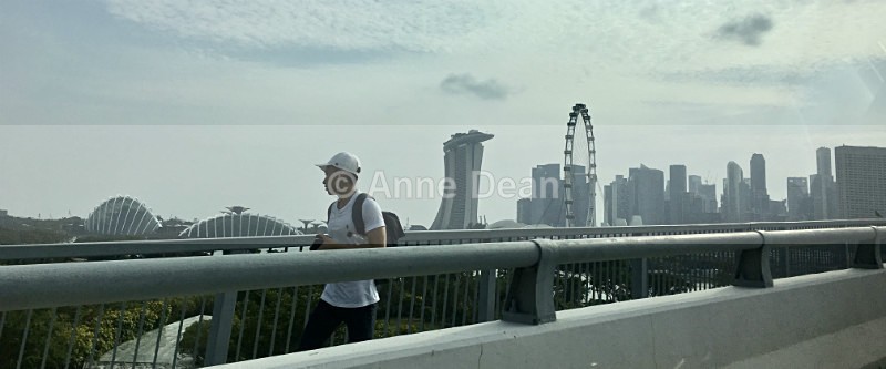 First glimpse - Singapore and Kuala Lumpur (including some wildlife)