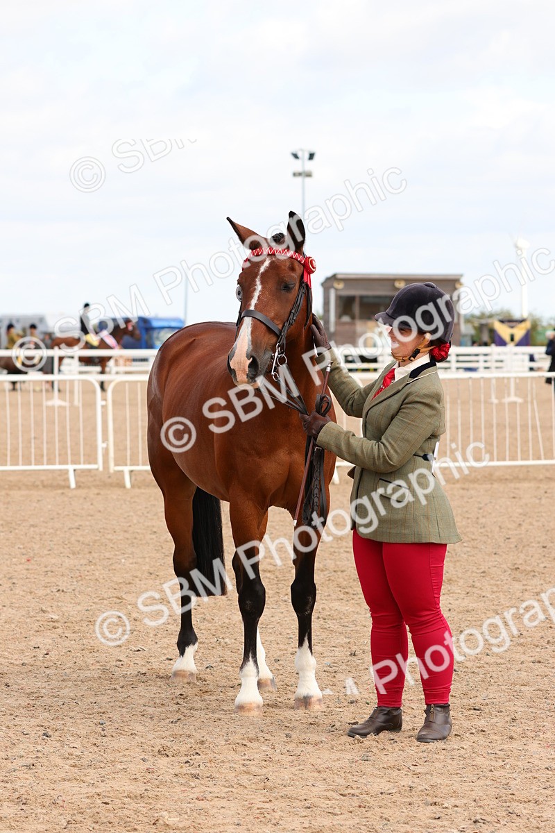 SBM_11759 - Class 208 - IH Veteran Horse