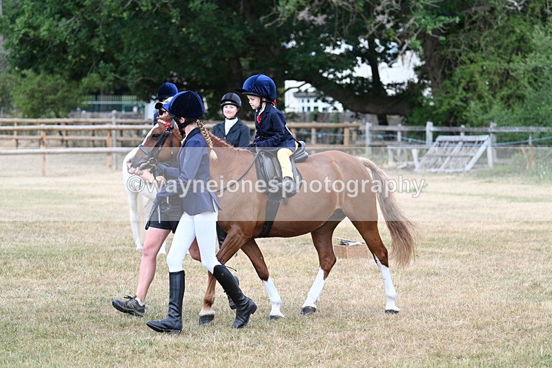 WJ7_9879 - Class 1 Lead Rein Pony