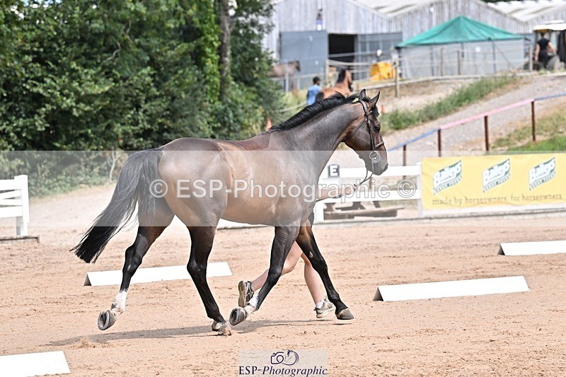 250716-125658-00245 - Trot Up 12.30 to 1.30