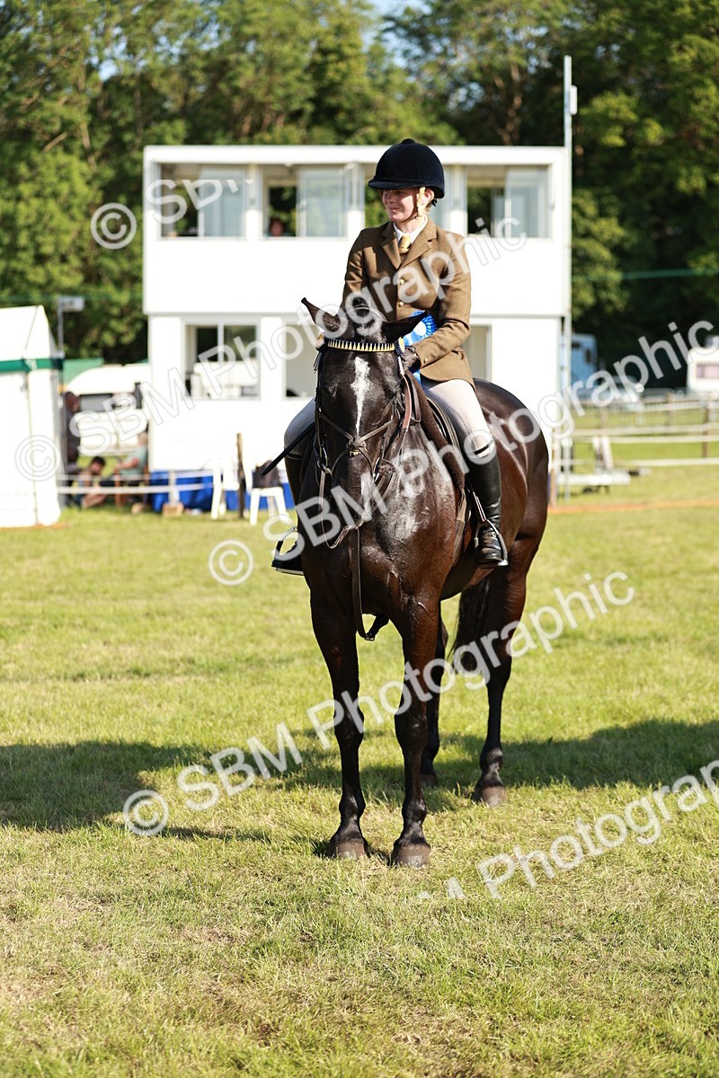 SBM_19324 - Class 115-116 - LIHS BSHA Rising Star Working Hunter & Show Horse