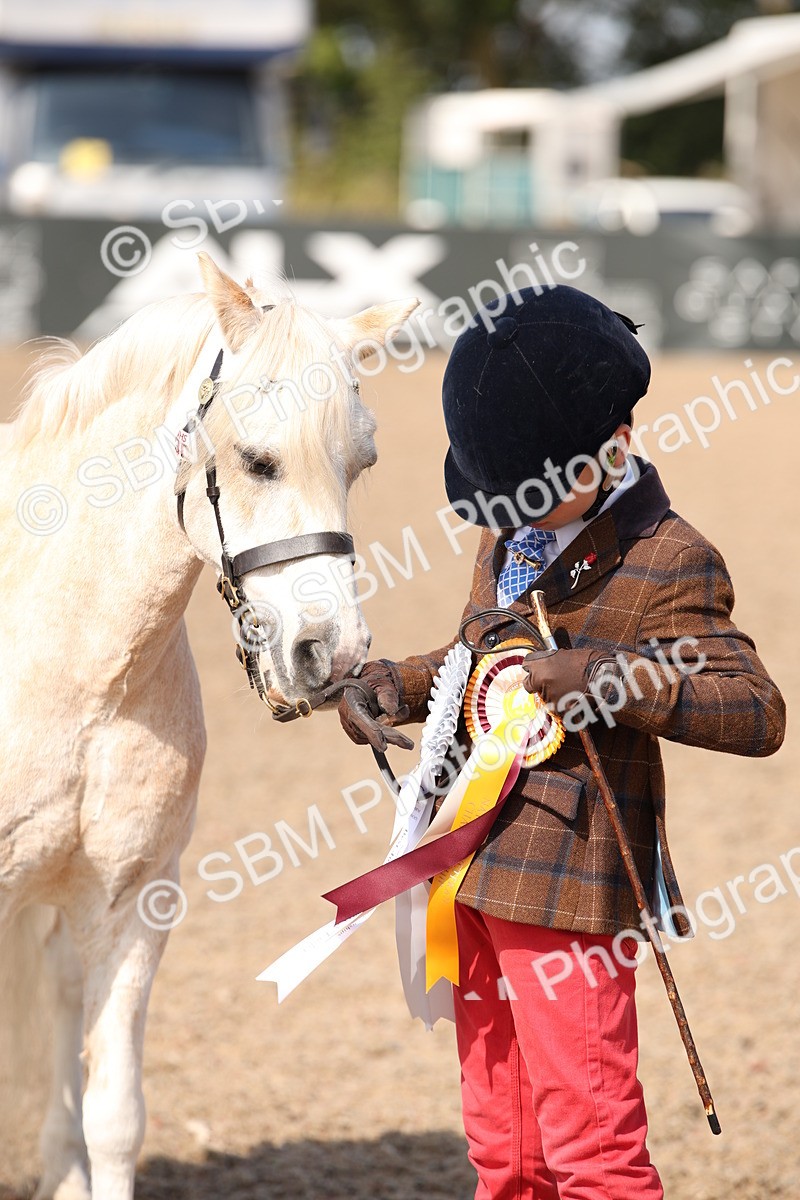 SBM_03073 - Class 17 Prettiest Mare IH or Ridden