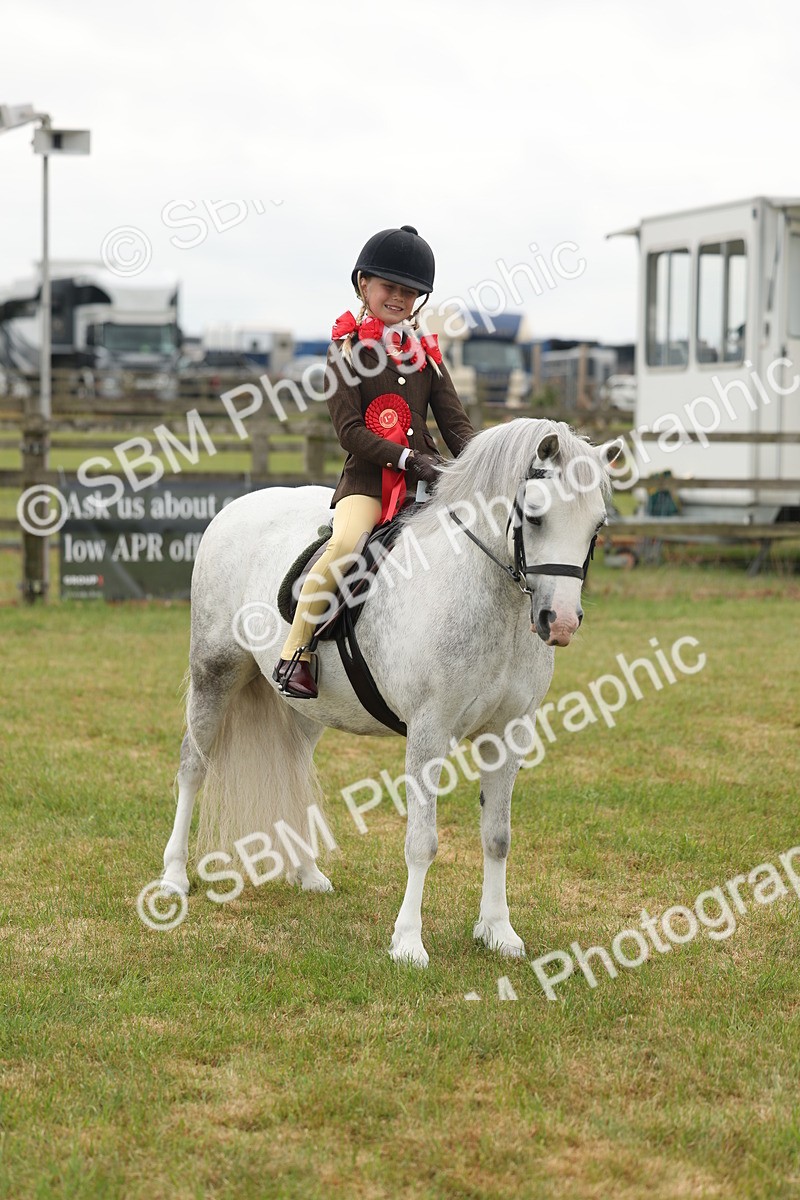 SBM_06900 - Class 74-75 - M&M Lead Rein and First Ridden Pony