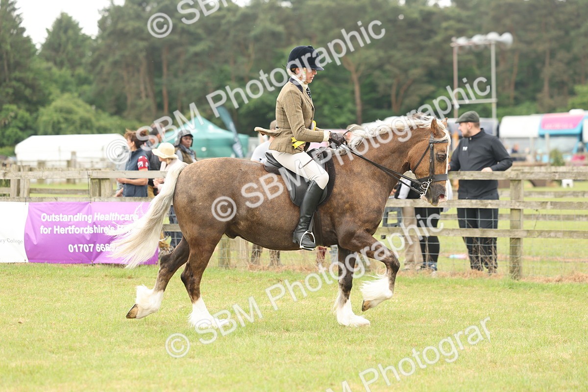 SBM_07288 - Class 76-77 - Ridden M&M Welsh Ponies