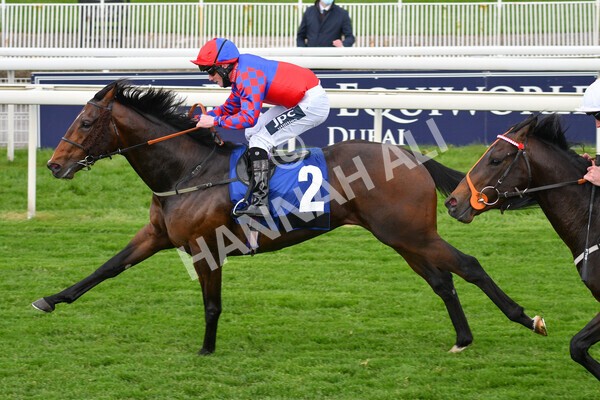 yr14052021r6-18 - Race 6 4.15pm Yorkshire Equine Practice Stakes