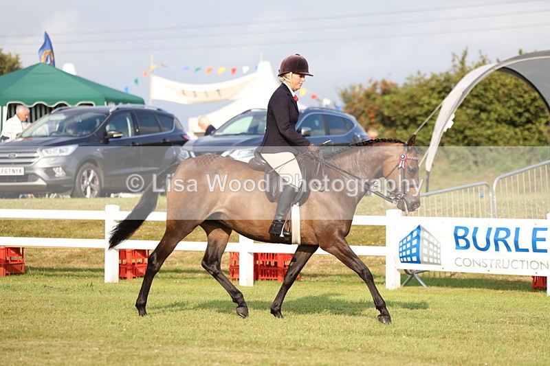 3E7A7665 - Class 1: Rising Star Small Hack/Riding Horses