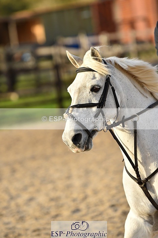 231210-141344-00781 - Cls 5 70cm