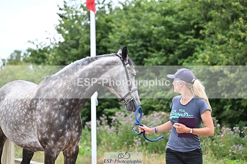 250716-135732-00718 - Trot Up 1.30 to 2.30