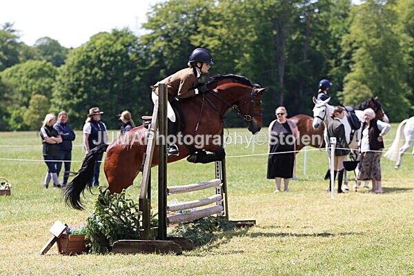 IMG_3725 - Working Hunter