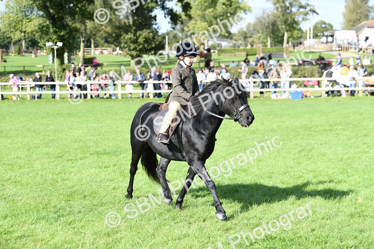 SBM_50337 - S21 - Novice & Newcomers 1st Ridden Pony