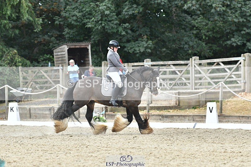 260801A-121832-03882 - Prelim SIlver Break - End