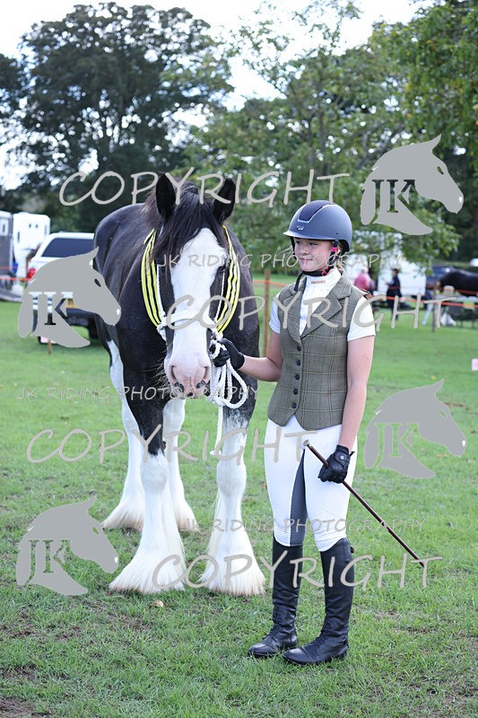 APP_3436 - Class 6 Young Handlers