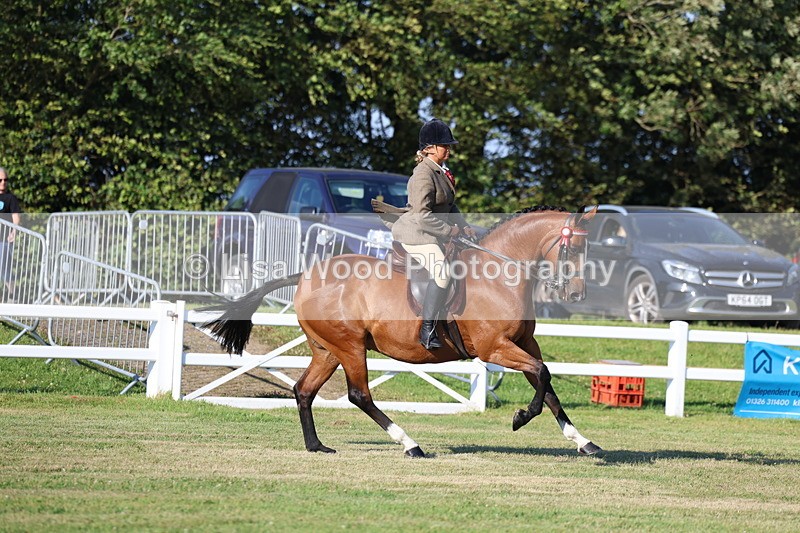 3E7A4979 - Class 1: Rising Star Small Hack/Riding Horses