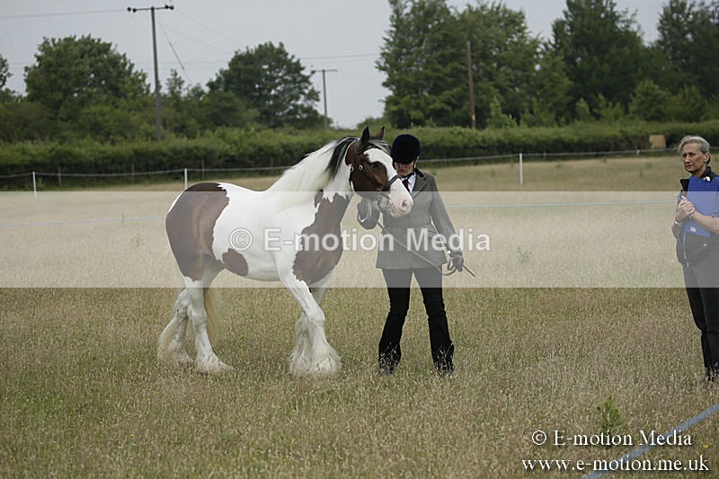 B230619-0042 - Bourne Valley Riding Club Summer Show 23/06/19