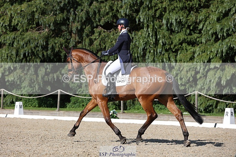 230526-171839-07947 - 177-ARGENTINO_BK-Dani_Evans-WEDTrotUp+DR