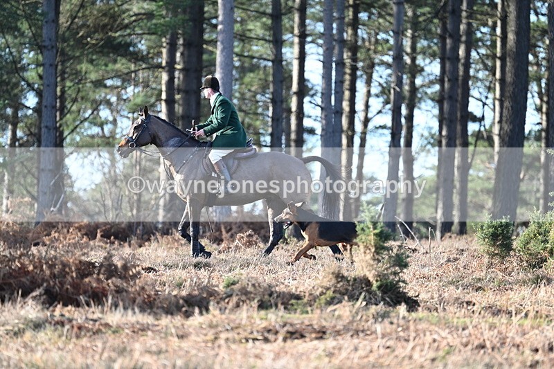 WJ7_7038 - Line 3 (no line 4 or 5)