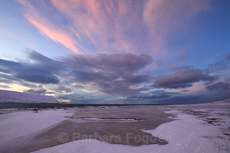 Hiorthamn 3071 - Colours of Svalbard