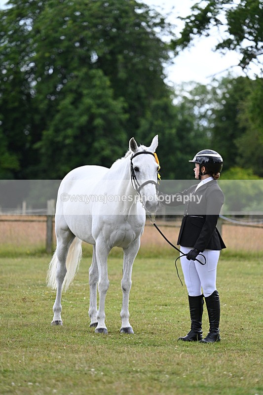 WJ7_7338 - Champs
