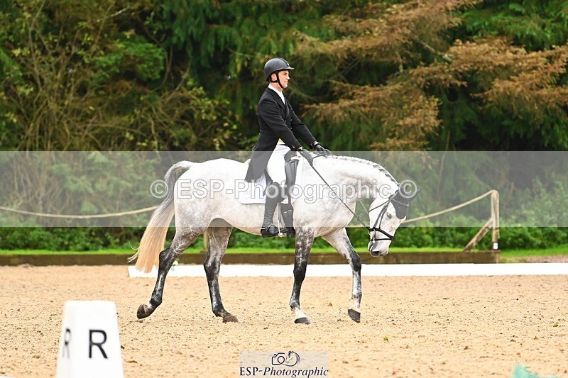 231021-122256-15121 - 348-KILMINGTON.FOLLY-Gubby.Leech-DR