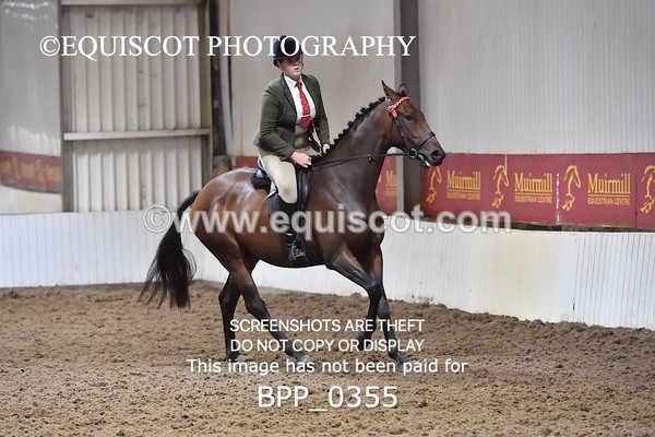 BPP_0355 - RING 2
