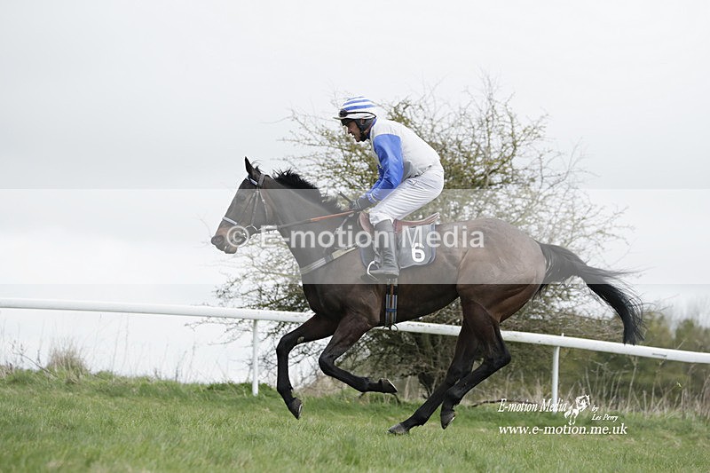 PtP 260323 0682 - New Forest Hounds Point-to-Point Larkhill 26/03/23