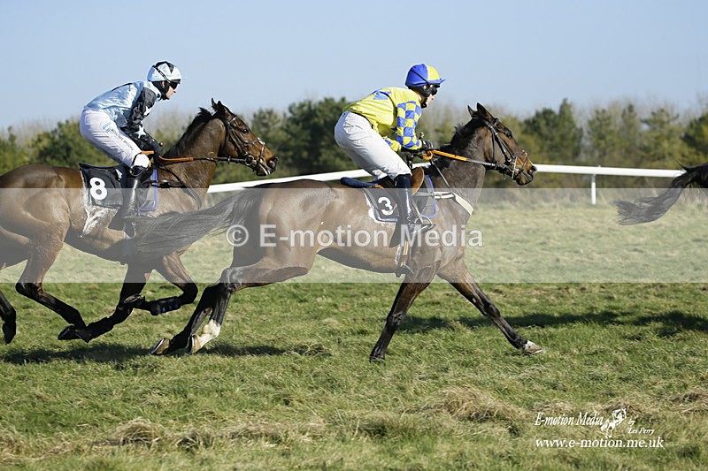 PtP 270222 212 - South & West Wilts Point-to-Point Larkhill 27/02/22