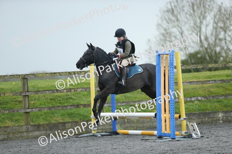 20260412-1888 - Show Jumping