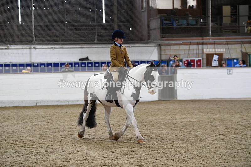 WJ5_7292 - Class 11 Ridden PC - RC Pony