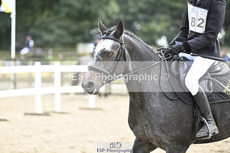 240823X-132807-17618 - 60cm R2 12.30 to 14.40 - All Photos