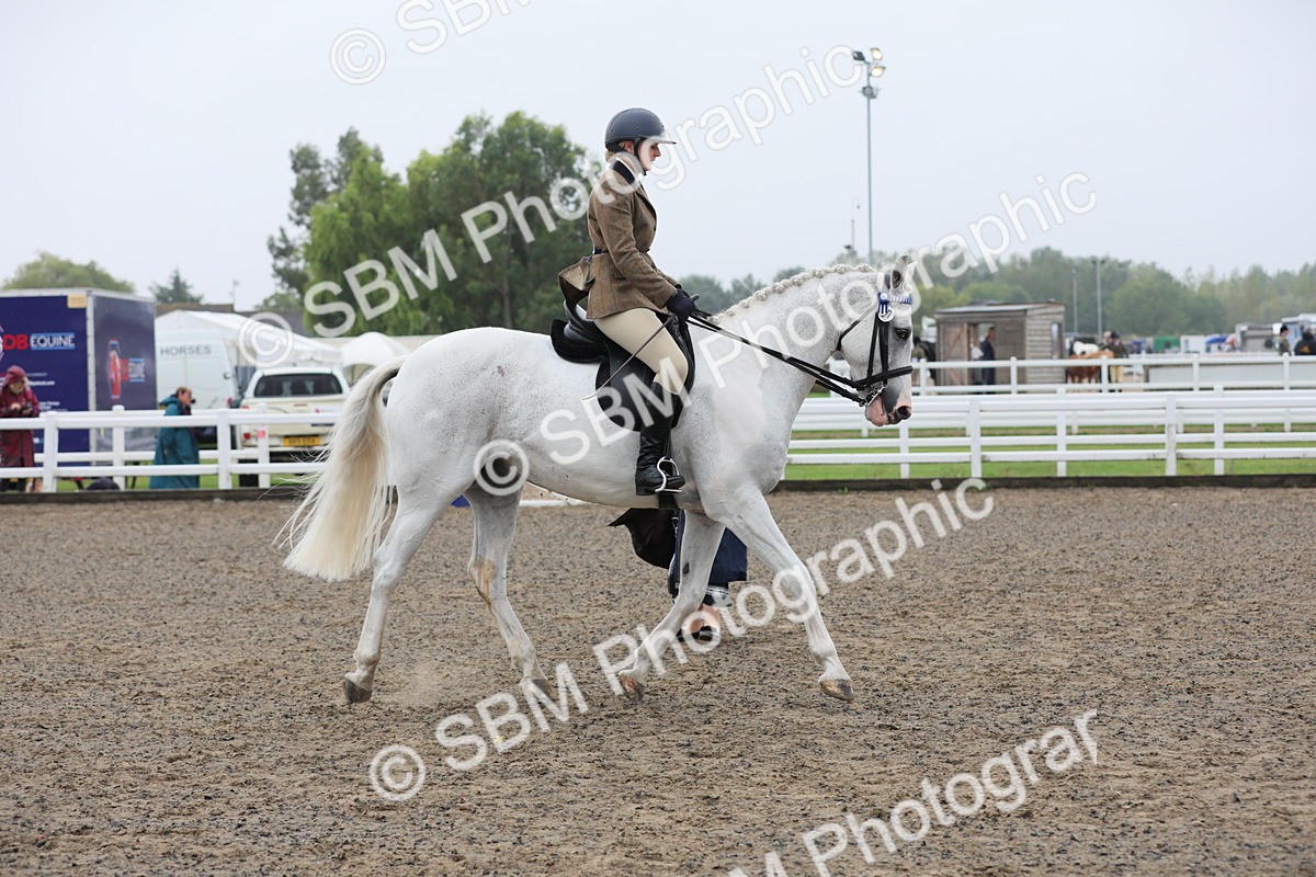SBM_20033 - Class 802 - Ridden Groom - Helpers class