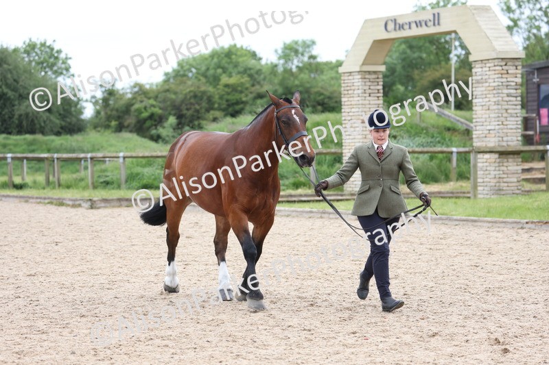 20250524-1017 - Class 9 - Cob and Hunter