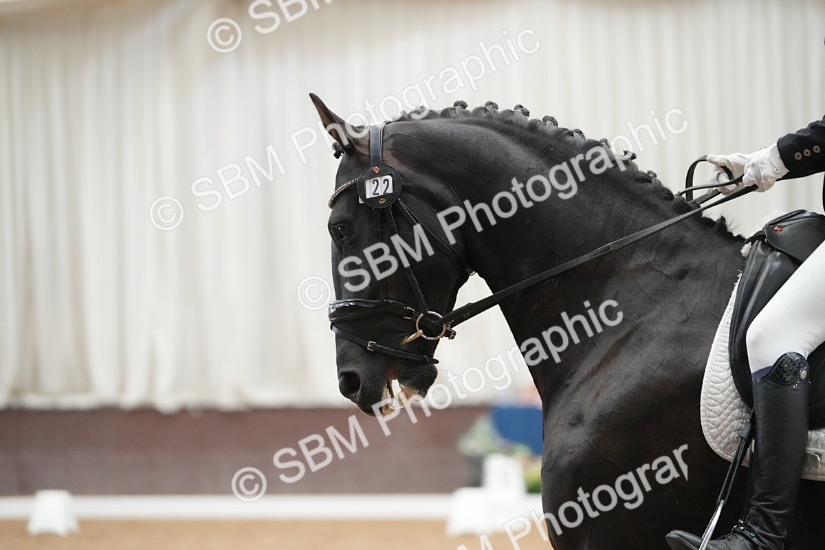 SBM_003225 - Class 11 - Elementary 2 Champs