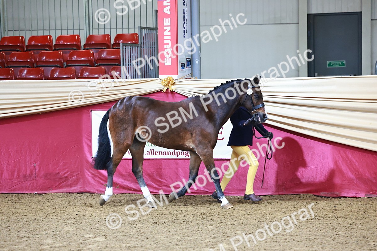 SBM_21759 - Class 901 - Supreme Final - IH  Diamond